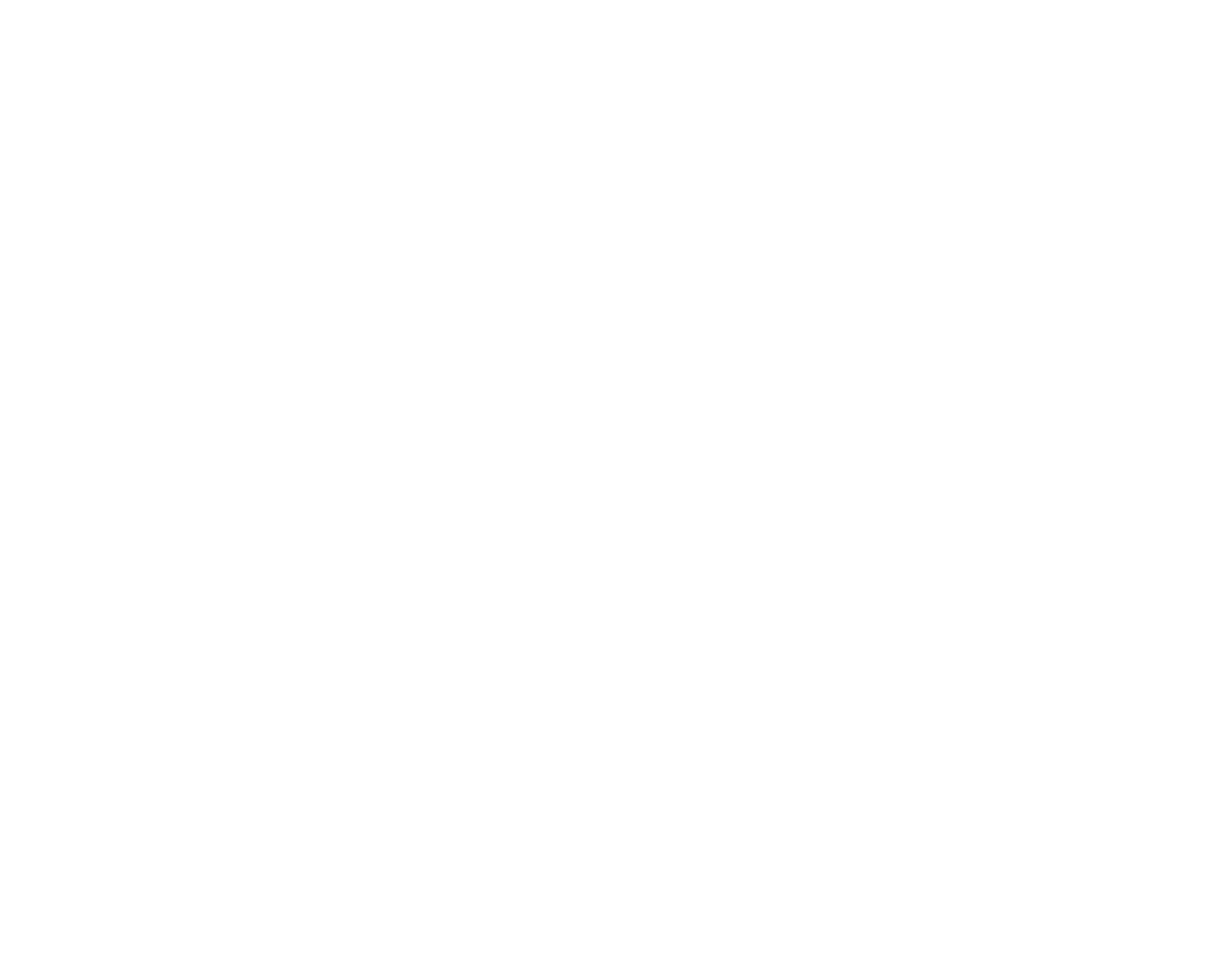 Pest Control Solution Services